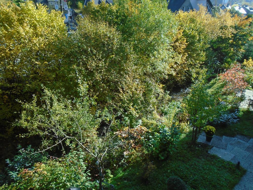 Apartment Nieder Winterberg Zewnętrze zdjęcie